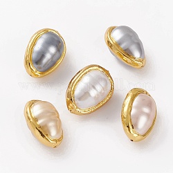 Perles en coquillage naturel, avec bord en laiton doré, larme, 25~26x18~18.5x15~15.5mm, Trou: 0.8mm