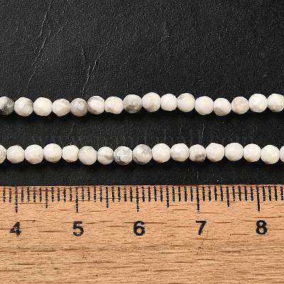 Natürliche Howlith Perlen Stränge&nbsp;G-Z068-B05-01-1