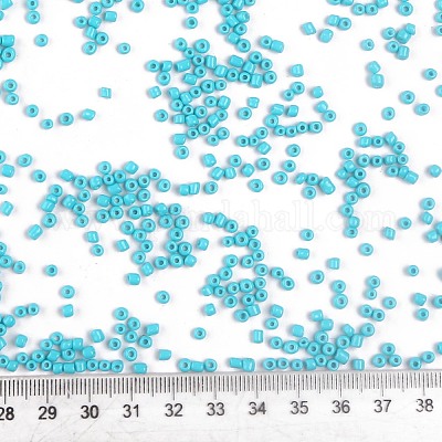 Выпечка краска стеклянные бусины SEED-S002-K10-1