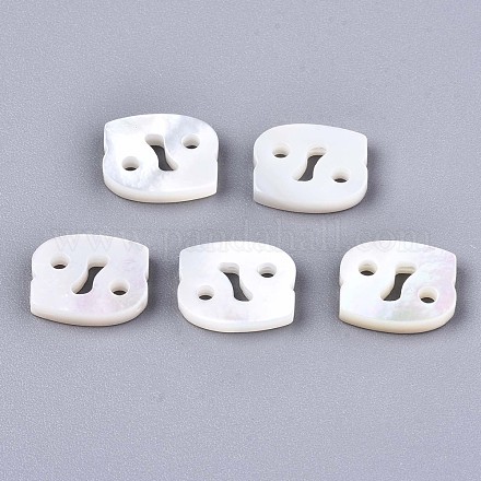 Natural White Shell Beads SSHEL-ZX004-02D-1