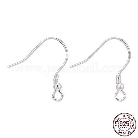 Sterling Silver Earring Hooks X-STER-M031-02S-1