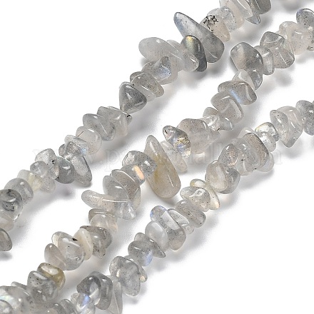 Chapelets de perles en labradorite naturelle  G-P497-03A-04-1