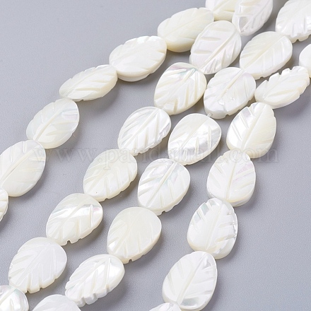 Chapelets de perles de coquille de trochid / trochus coquille SSHEL-K015-05-1