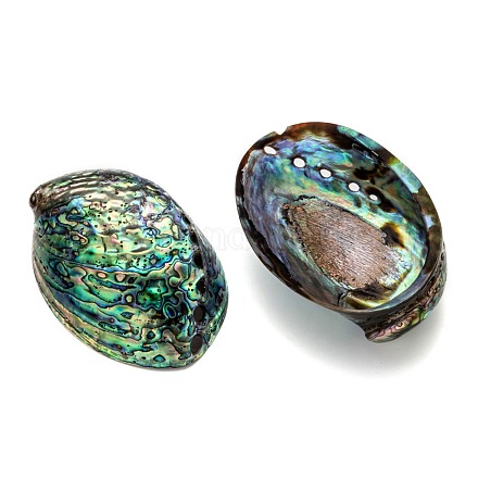 天然アワビの殻/パウア貝の装飾  シェル  カラフル  120~140x90~100x20mm X-SSHEL-F0005-01-1