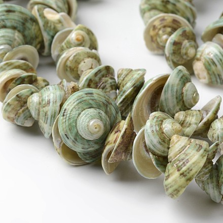 Chapelets de perles en coquillage naturel BSHE-O016-20-1