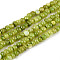 Natural Freshwater Shell Dyed Beads Strands, Rondelle, Olive, 2~3.5x1~3mm, Hole: 0.8mm, about 162~169pcs/strand, 14.96~15.35''(38~39cm)