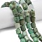 Natural Chrysoprase Beads Strands, Faceted, Column, 10~11x9~9.5mm, Hole: 0.8mm, about 31pcs/strand, 16.02~16.14''(40.7~41cm)