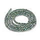 Electroplate Transparent Glass Beads Strands GLAA-H021-01A-FR01-5