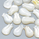 Cabujones de concha de nácar blanco natural SSHEL-S260-027-1