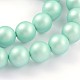 Round Shell Pearl Bead Strands BSHE-J011-14mm-A01-1