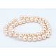 Shell Pearl Beads Strands SP8MM218-2