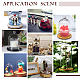 PH PandaHall Glass Cloche Bell Jar Display Dome Case with Wood Base Glass Decoration Bottles for Plants Flower Display Clay Succulents Storage Home Christmas Party Favor Decoration 4.3x7.2 inch AJEW-WH0307-75B-2