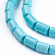 Synthetic Howlite Beads Strands G-F647-12A-3