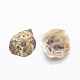 Natural Geode Agate Beads G-O182-03-2