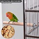 Papageienbarsch stehen AJEW-GA0002-11-5