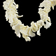 Chips Natural Sea Shell Beads Strands SSHEL-F290-30-2