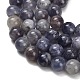 Природные иолит нитей бисера G-G300-A04-8mm-4