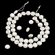 Nbeads 1 brin de perles de coquillage galvanisées BSHE-NB0001-20-2