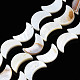 Natural Freshwater Shell Beads Strands SHEL-Q024-015A-1
