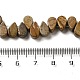 Chapelets de perles en jaspe avec images naturelles G-B064-B02-4