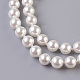 Collares colgantes de perlas naturales concha redonda NJEW-P232-B-4