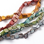Shell Beads Strands, Dyed, Square, Mixed Color, about 8mm long, 8mm wide, 5mm thick, hole: 1mm, about 50pcs/strand, 16 inch