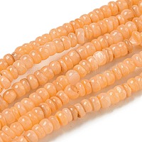 Tinti d'acqua dolce naturale perline shell fili&nbsp;BSHE-G039-07A