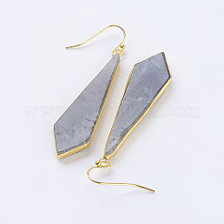 Orecchini pendenti labradorite naturale&nbsp;EJEW-P145-03A