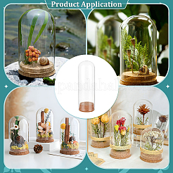 Стеклянный купол&nbsp;DJEW-WH0099-04A