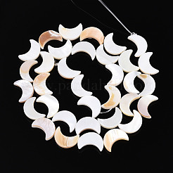 Нити бусин из натуральных пресноводных ракушек&nbsp;LS-SHEL-Q024-015B-01