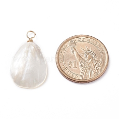 Натуральная ракушка трохида / подвески из ракушки трохуса X-PALLOY-JF01393