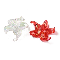 Прозрачные акриловые бусины X-MACR-K358-06B