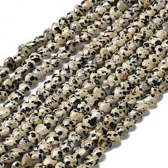 Природные яшмы далматин бисер нитей G-P575-C03-6mm