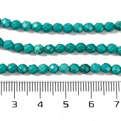 Fili di perline howlite naturale&nbsp;G-C025-02C-08
