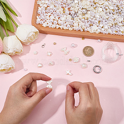 Kit di fibbie&nbsp;DIY-BM0002-11
