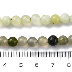 Natürlich neu Jade Perlen Stränge&nbsp;X-G-F591-16-6MM