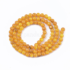 Shell perle d'acqua dolce fili&nbsp;SHEL-S276-32G