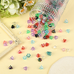 500шт 10 цвета акриловые колпачки для бусин&nbsp;OACR-SC0002-32