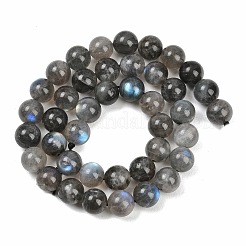 Природные лабрадорита бисер нитей&nbsp;G-Z133-A01-10mm-02