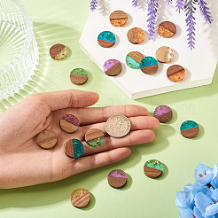 20шт 5 цвета подвески из смолы и ореха&nbsp;RESI-TA0004-43