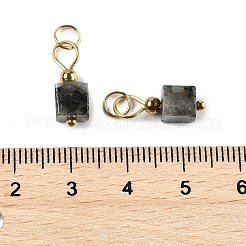 Природные подвески лабрадорита&nbsp;STAS-Z129-01G-03