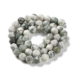 Natürliche Frieden Jade Perlen Stränge&nbsp;G-NH0021-A08-01