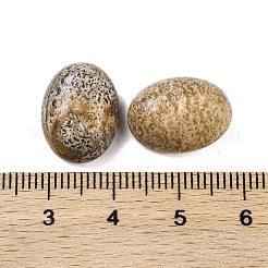 Естественная картина яшма кабошоны G-B085-06C-03