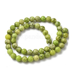 Нити из окрашенных натуральных доломитовых бусин G-D337-8mm-D04