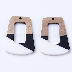 Подвески из смолы и ореха&nbsp;LS-X-RESI-N025-003A-B02