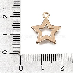 Legierung mit Emaille-Anhängern&nbsp;AL-CBA2F44-02G
