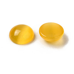 Cabochons di occhio di gatto&nbsp;G-H301-02