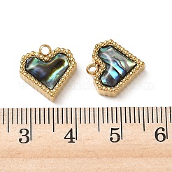 Natur Paua Muschel Anhänger&nbsp;STAS-G397-05G-02