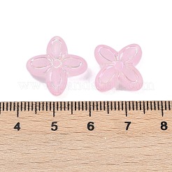 Матовые прозрачные акриловые бусины&nbsp;OACR-P029-09B-01