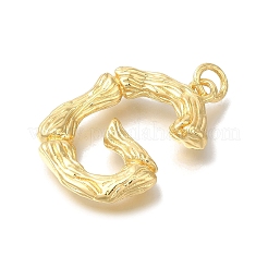 Pendentifs de placage en laiton&nbsp;KK-I721-01G-G